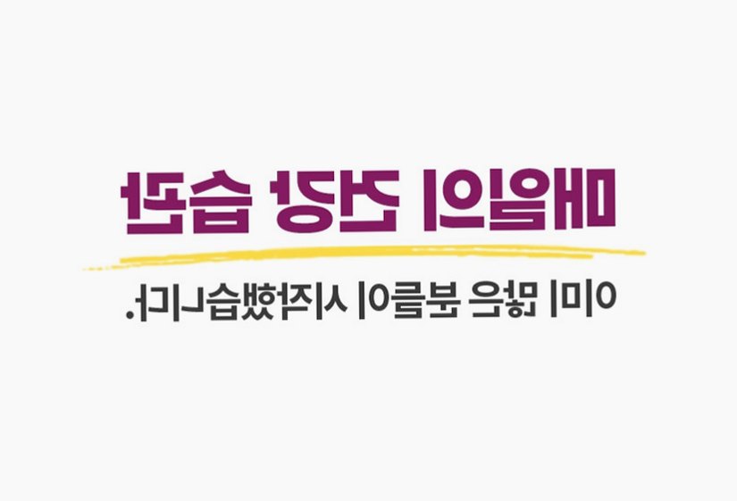홍국트리오 메가 중성지방 콜레스테롤 낮추는 HDL LDL 홍국영양제 60정, 1개